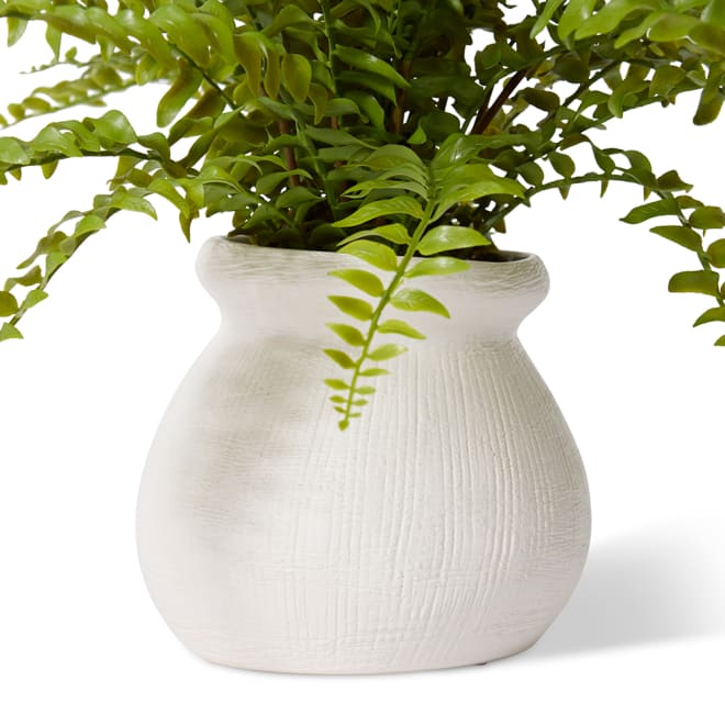 Fern Lush Boston - Wanda Vase - Green/White, 60cm (H)