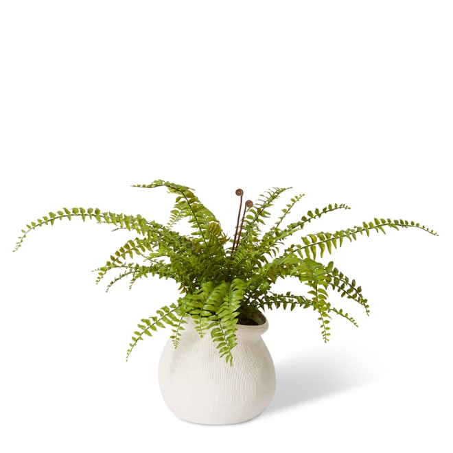 Fern Lush Boston - Wanda Vase - Green/White, 66cm (H)