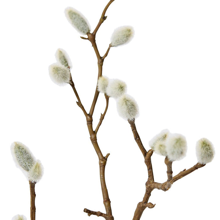 Magnolia Bud Sm Spray Pack of 12 - Natural, 53cm (H)