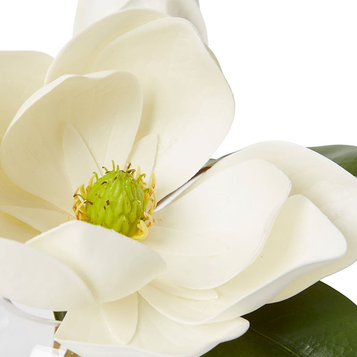 Magnolia Classic - White/Clear, 26cm (H)