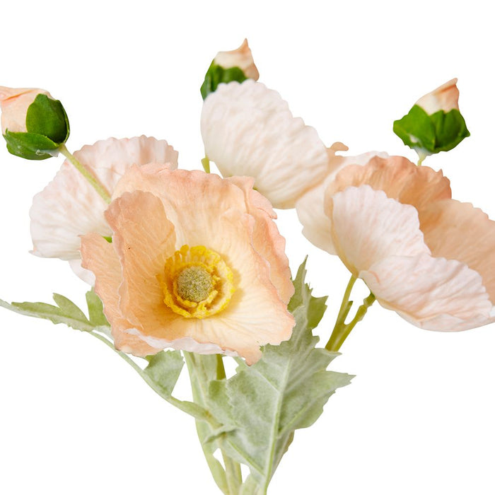 Poppy Bundle (RT) Pack of 12 - Peach, 35cm (H)