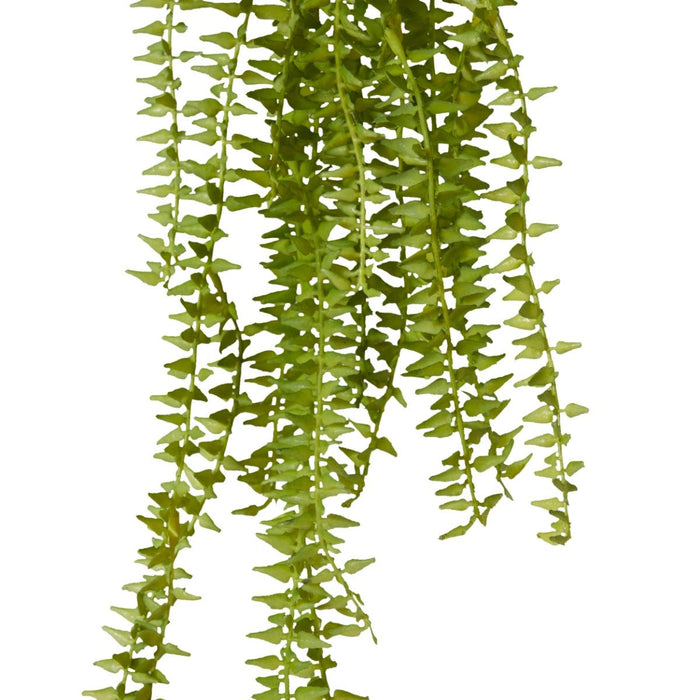 Sawtooth Hanging Plant Pack of 12 - Green, 80cm (H)