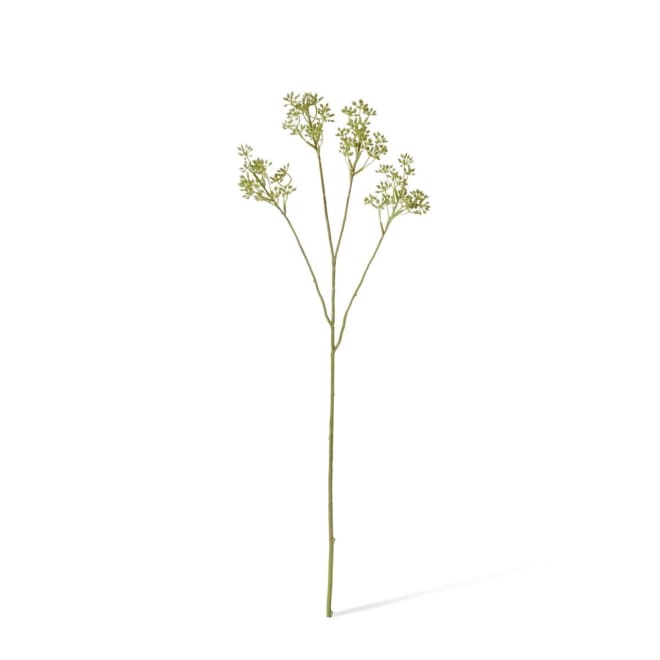 Eucalyptus Seeding Spray Pack of 12 - Green, 62cm (H)