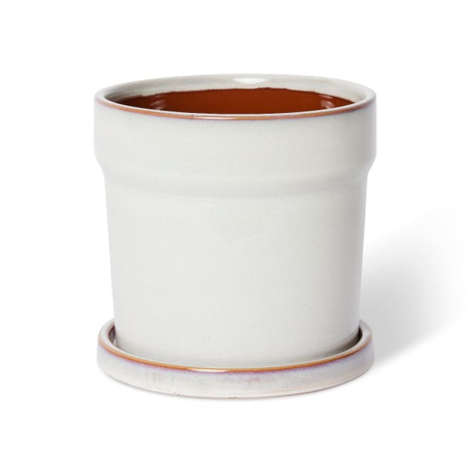Austin Pot w Saucer - White, 19cm (H)