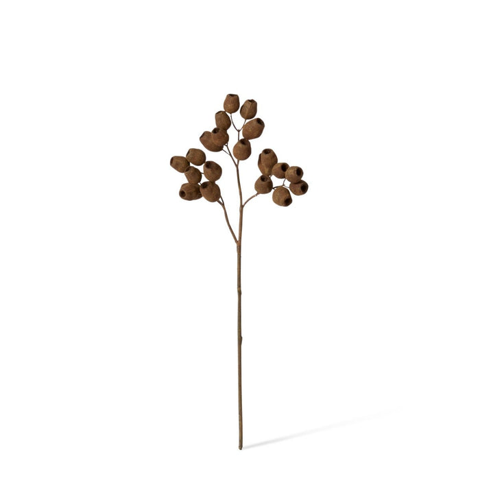 Gum Nut Dried Look Spray Pack of 12 - Brown, 48cm (H)