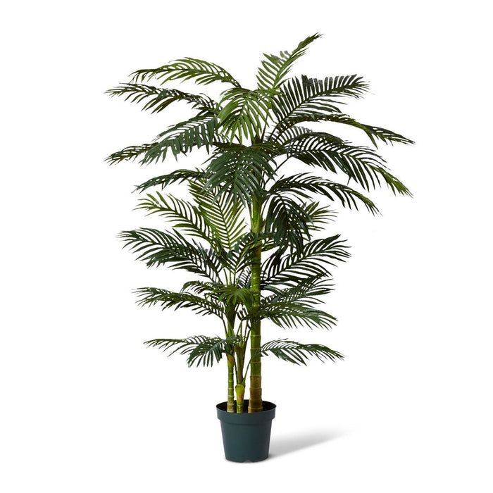 Palm Cane - Green, 198cm (H)