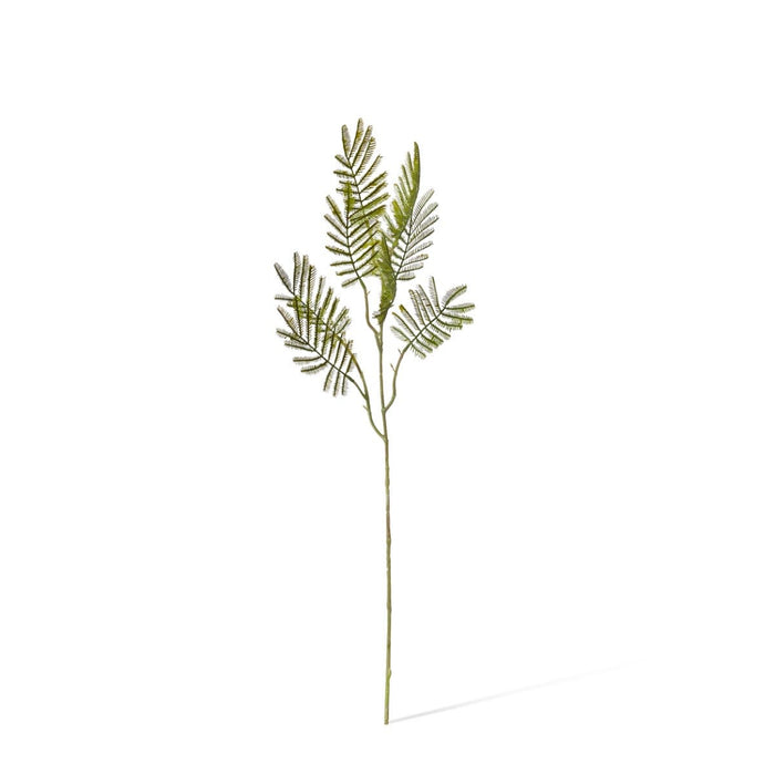Wattle Leaf Spray Pack of 12 - Green, 61cm (H)