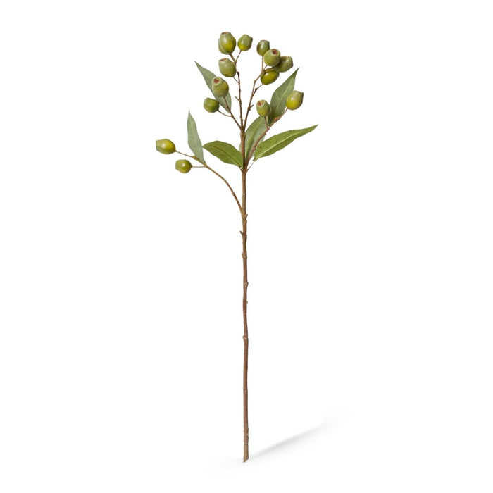 Eucalyptus Gum Nut Spray Pack of 12 - Green, 67cm (H)