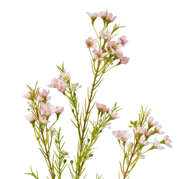 Wax Flower Spray Pack of 12 - Pink, 68cm (H)