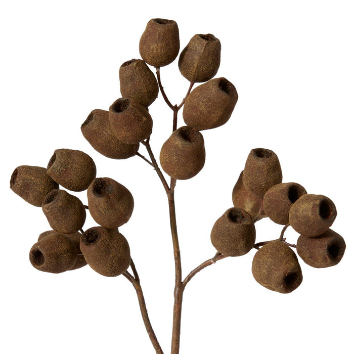 Gum Nut Dried Look Spray Pack of 12 - Brown, 48cm (H)