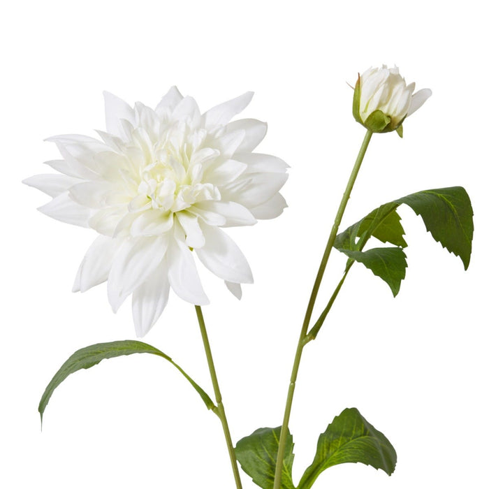 Dahlia Spray Pack of 6 - White, 72cm (H)