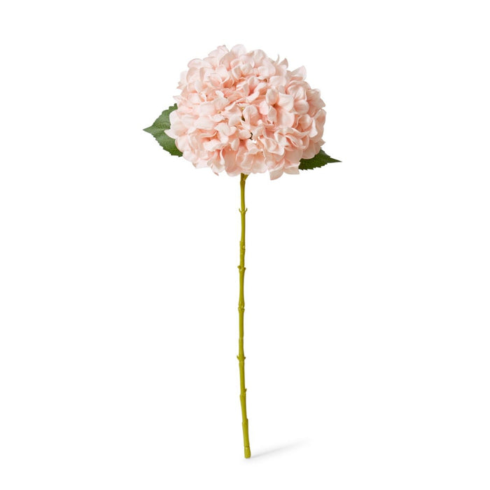Hydrangea Classic Large Stem Pack of 12 - Pink, 65cm (H)