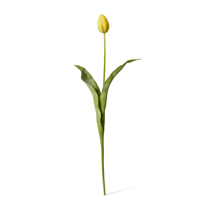 Tulip Stem Pack of 12 - Yellow, 74cm (H)