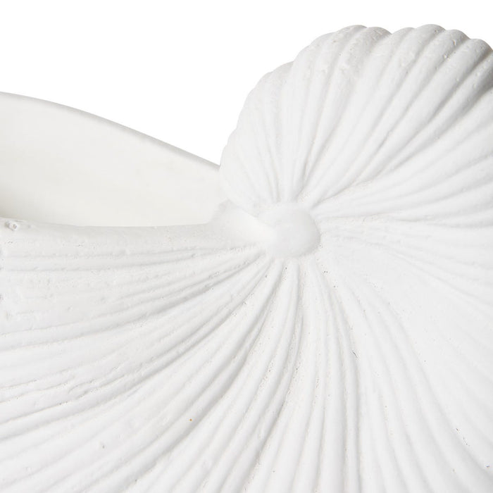 Conch Shell Pot - White, 15cm (H)