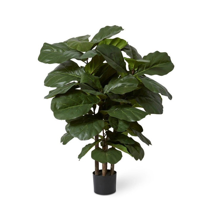 Fiddle Leaf Tree Green 45x45x - Green, 120cm (H)