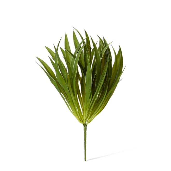 Grass Buffalo Plant Pack Of 12 - Green, 35cm (H)