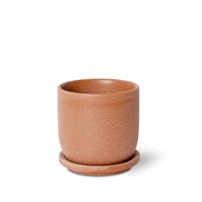Allegra Pot w Saucer - Terracotta, 12cm (H)