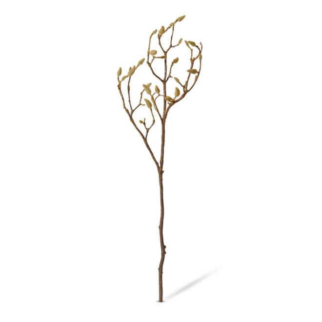 Magnolia Bud Branch Pack Of 6 - Natural, 86cm (H)