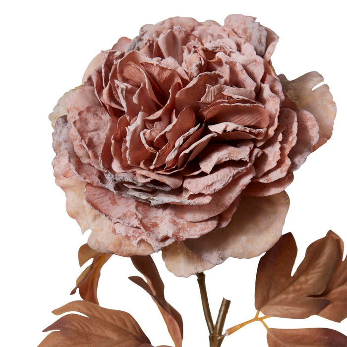 Peony Decor Stem Pack of 12 - Dusty Mauve, 69cm (H)