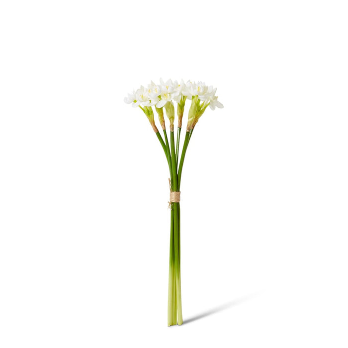 Paperwhite Flower Bundle Pack of 6 - White, 43cm (H)