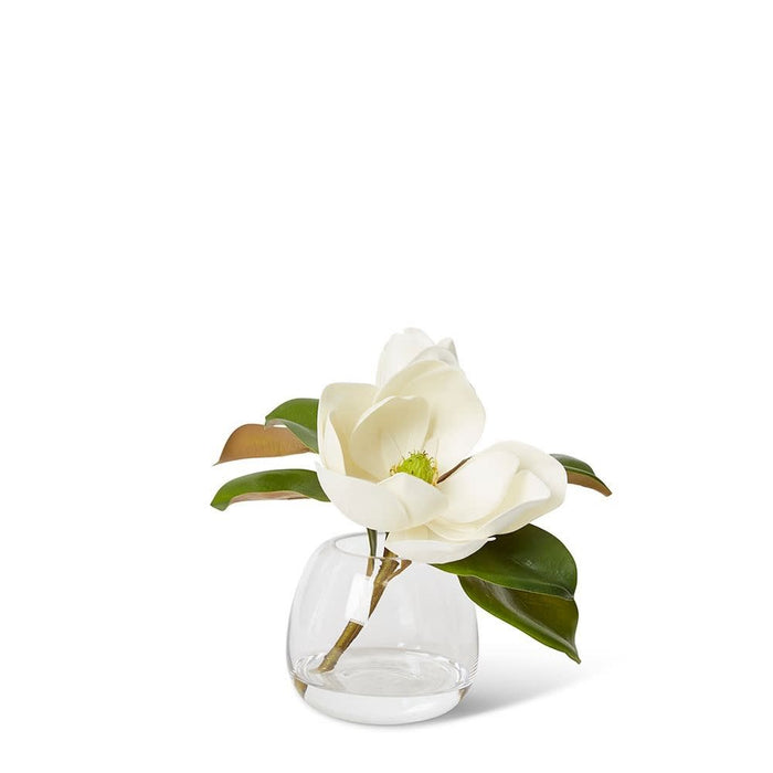 Magnolia Classic - White/Clear, 26cm (H)