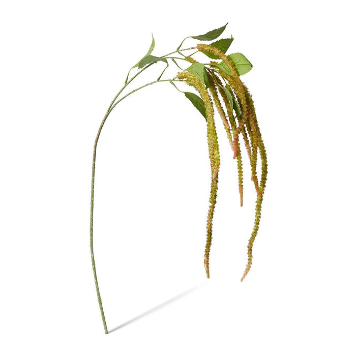 Amaranthus Spray Pack of 12 - Green/Pink, 134cm (H)