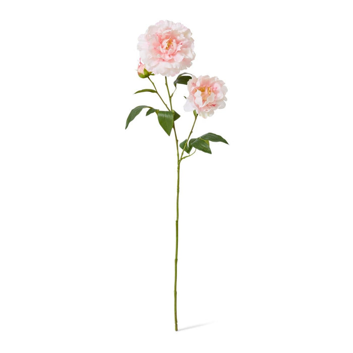 Peony Lillian Spray Pack of 12 - Soft Pink, 74cm (H)