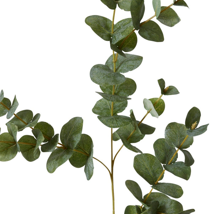 Eucalyptus Spray Pack of 24 - Grey Green, 97cm (H)