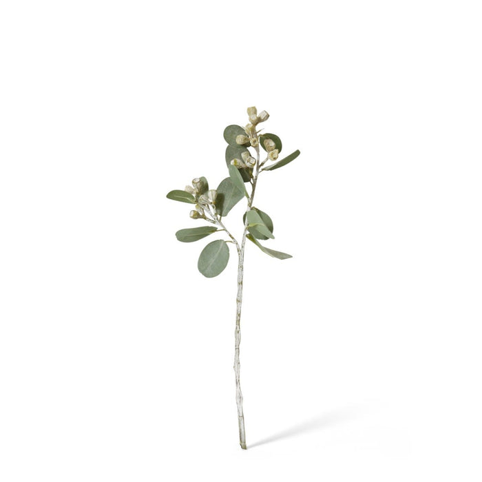 Tetragona Gum Nut Spray Pack of 12 - Grey Green, 41cm (H)