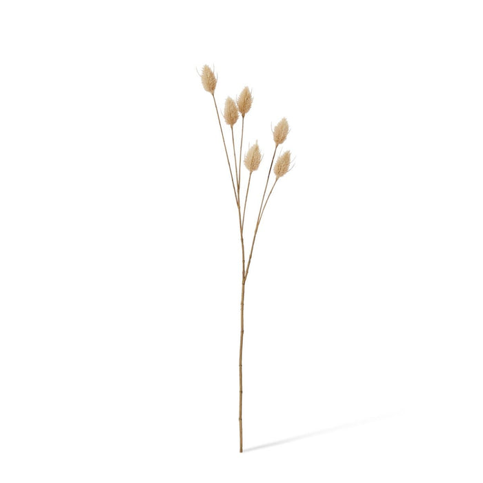 Bunny Tail Spray Pack of 12 - Beige, 71cm (H)