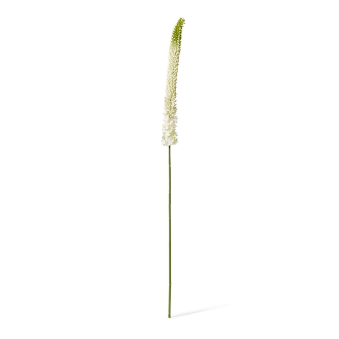 Foxtail Lily Stem Pack of 12 - Green White, 112cm (H)