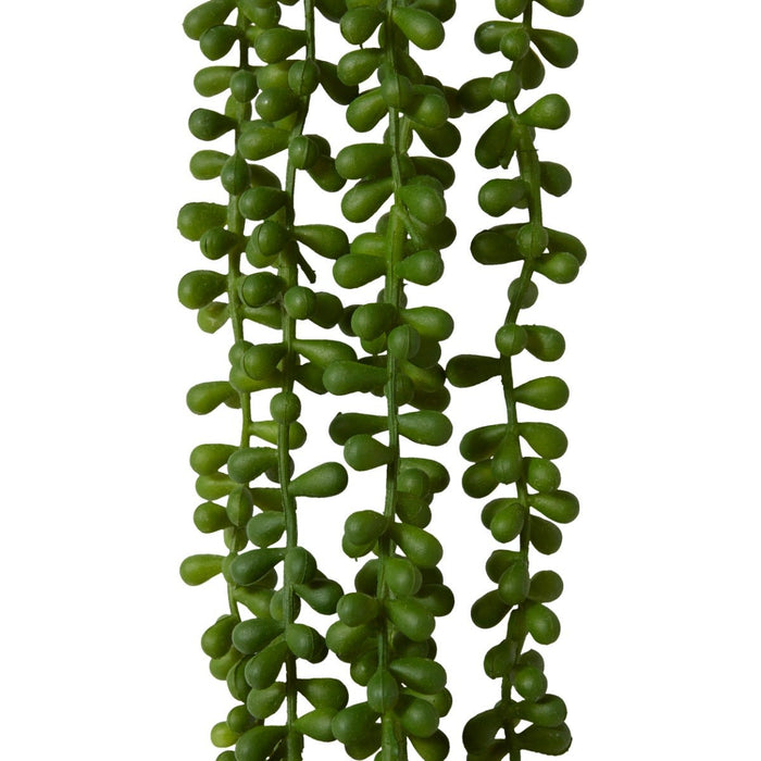 String of Pearls Hanging Plant Pack of 6 - Green, 96cm (H)