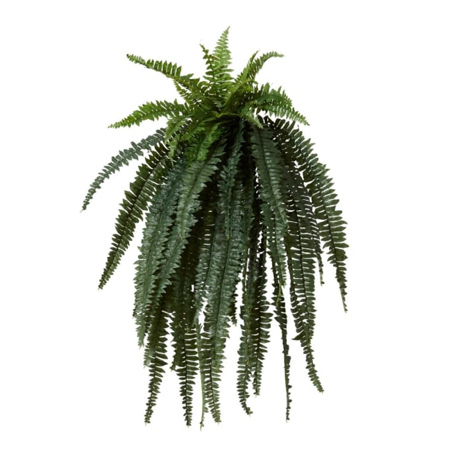 Boston Grand Fern Pack of 2 - Green, 120cm (H)