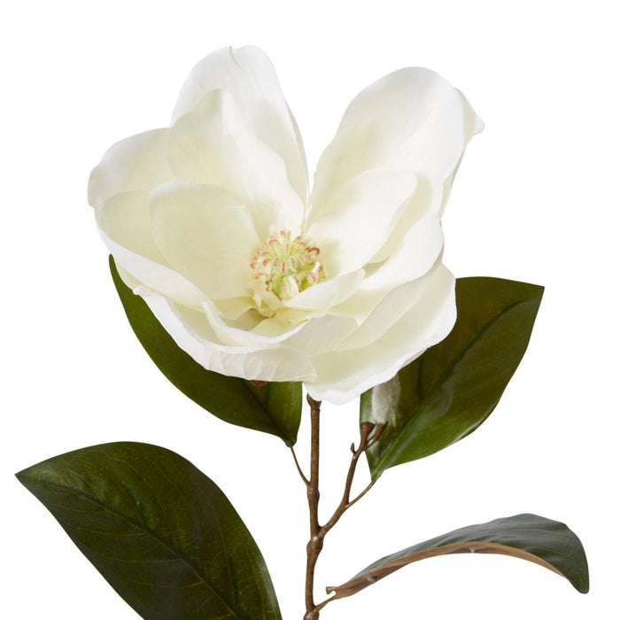 Magnolia Flower Stem Pack of 12 - White, 74cm (H)