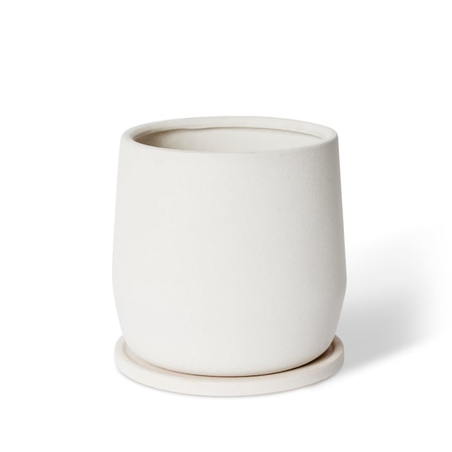 Mason Pot w Saucer - White, 22cm (H)