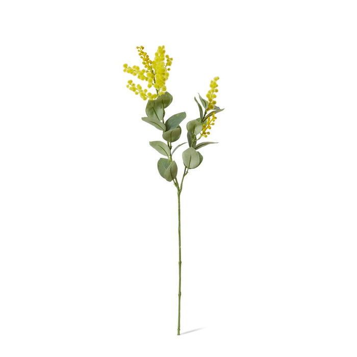 Wattle Spray Pack of 12 - Yellow, 61cm (H)
