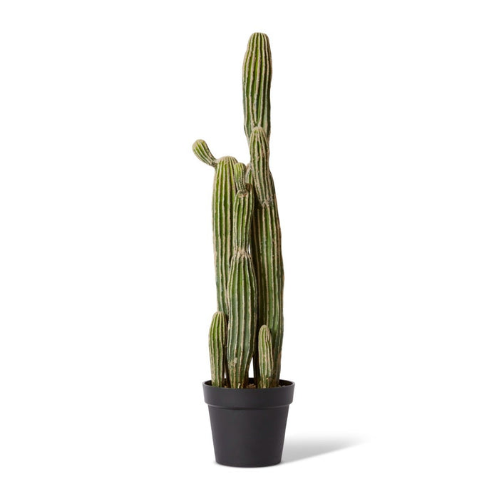 Cactus Saguaro Potted - Green, 91cm (H)