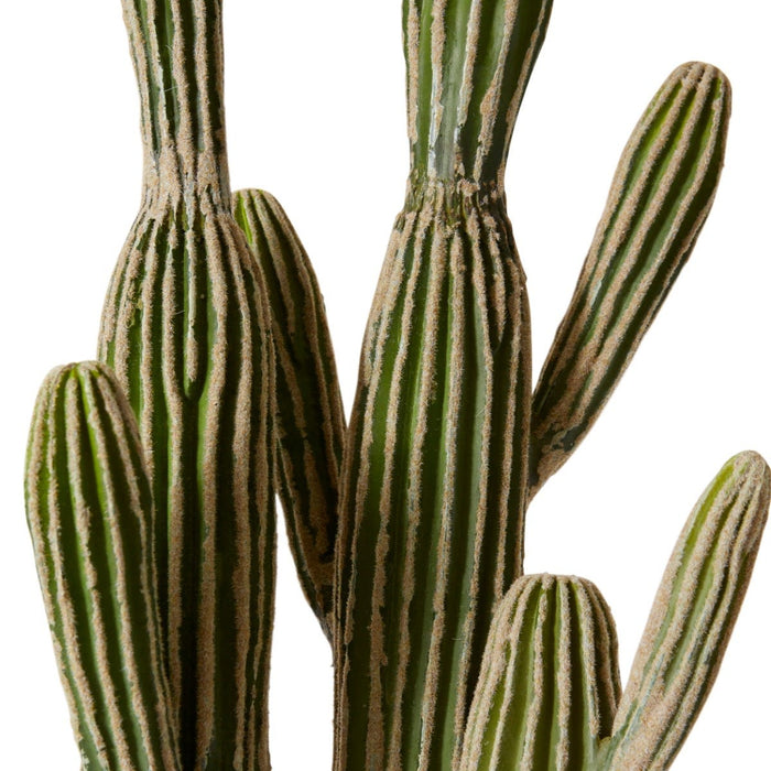 Cactus Saguaro Potted - Green, 152cm (H)