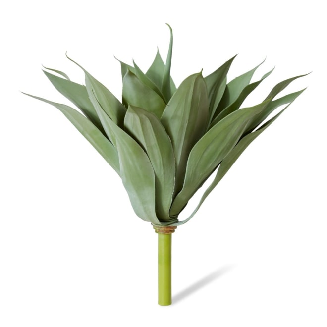 Agave Pack of 2 - Grey Green, 52cm (H)