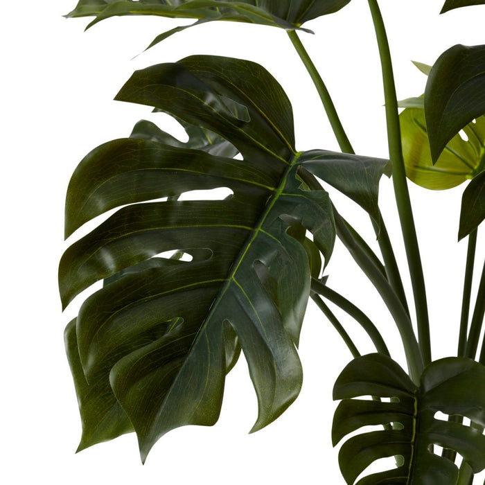 Monstera Potted - Green, 80cm (H)