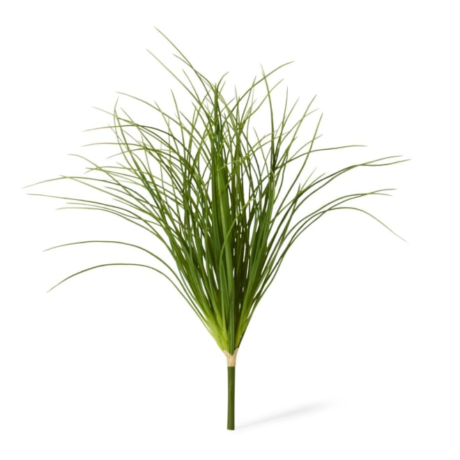 Grass Tussock Plant Pack Of 12 - Green, 65cm (H)