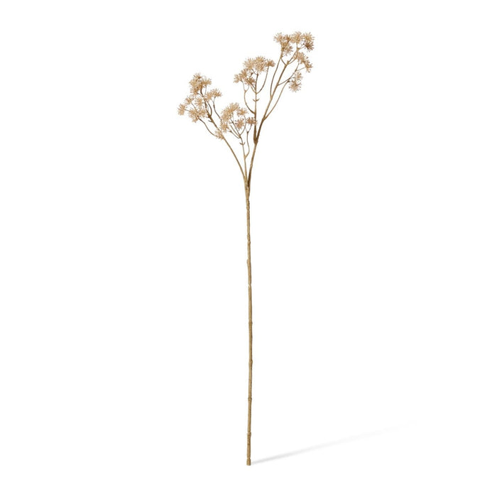 Aralia Deco Seed Spray Pack of 12 - Beige, 84cm (H)