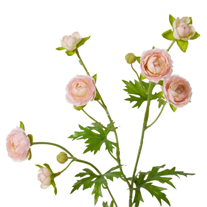 Ranunculus Spray Pack of 12 - Soft Pink, 56cm (H)