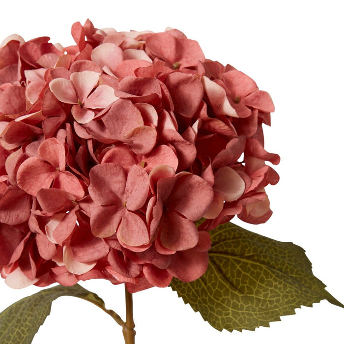 Hydrangea Decor Stem Pack of 12 - Mauve, 66cm (H)