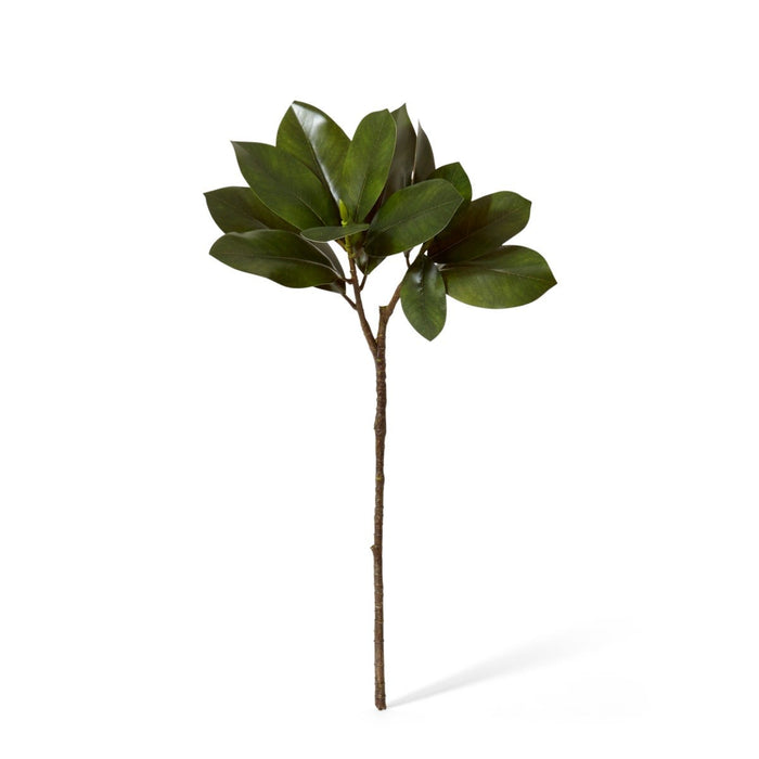 Magnolia Leaf Spray Pack of 12 - Green, 70cm (H)