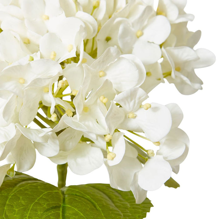 Hydrangea Bloom Stem Pack of 12 - Ivory, 60cm (H)