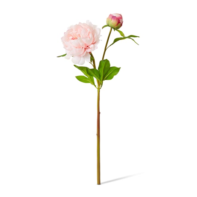Peony Garden Spray (RT) Pack Of 12 - Pink, 62cm (H)