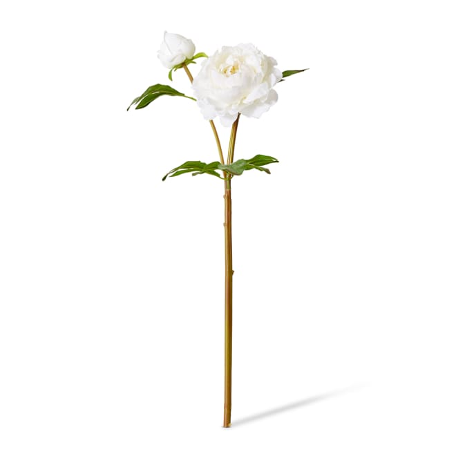 Peony Garden Spray (RT) Pack Of 12 - White, 62cm (H)