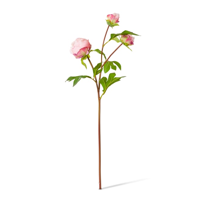 Peony Bud Spray (RT) Pack Of 12 - Blush Pink, 62cm (H)