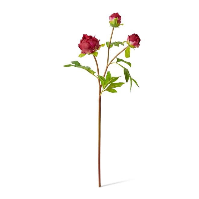 Peony Bud Spray (RT) Pack Of 12 - Burgundy, 62cm (H)